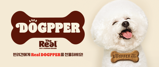 올데이킹 이벤트 안내